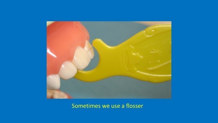 flossers being used on a model of teeth